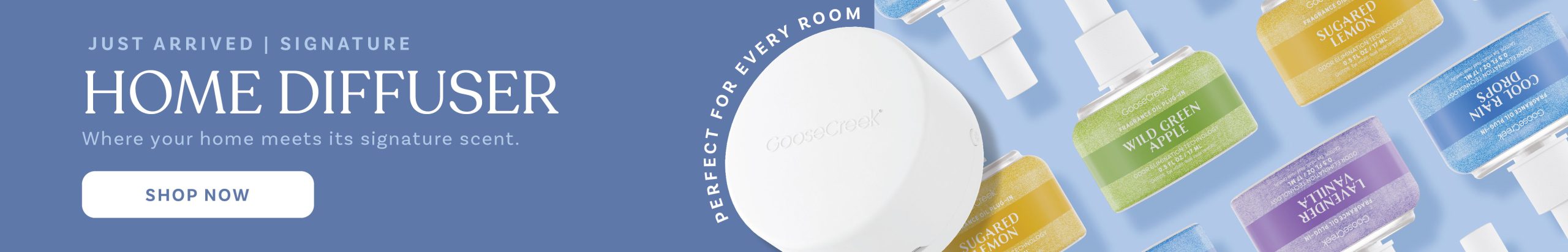 Home diffuser new arrival banner
